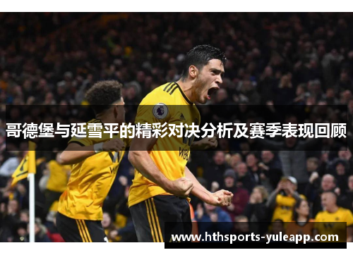 哥德堡与延雪平的精彩对决分析及赛季表现回顾